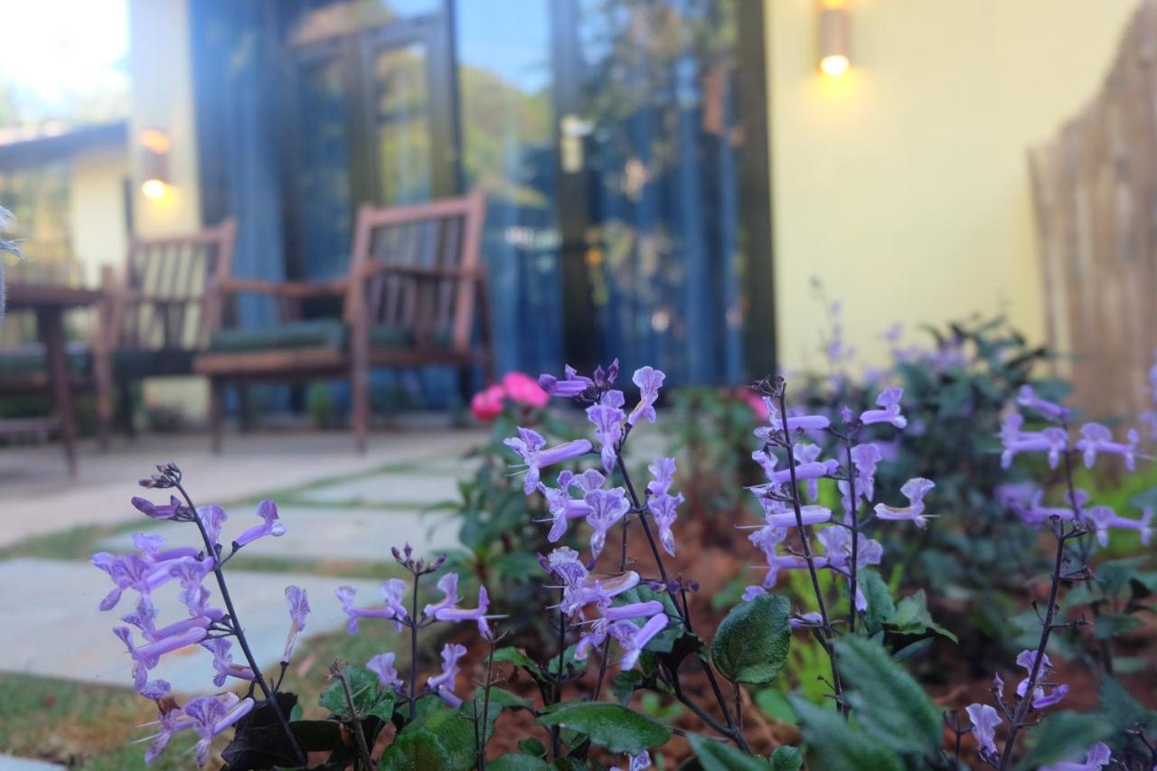L'Amant Homestay Da Lat Đà Lạt Ngoại thất bức ảnh