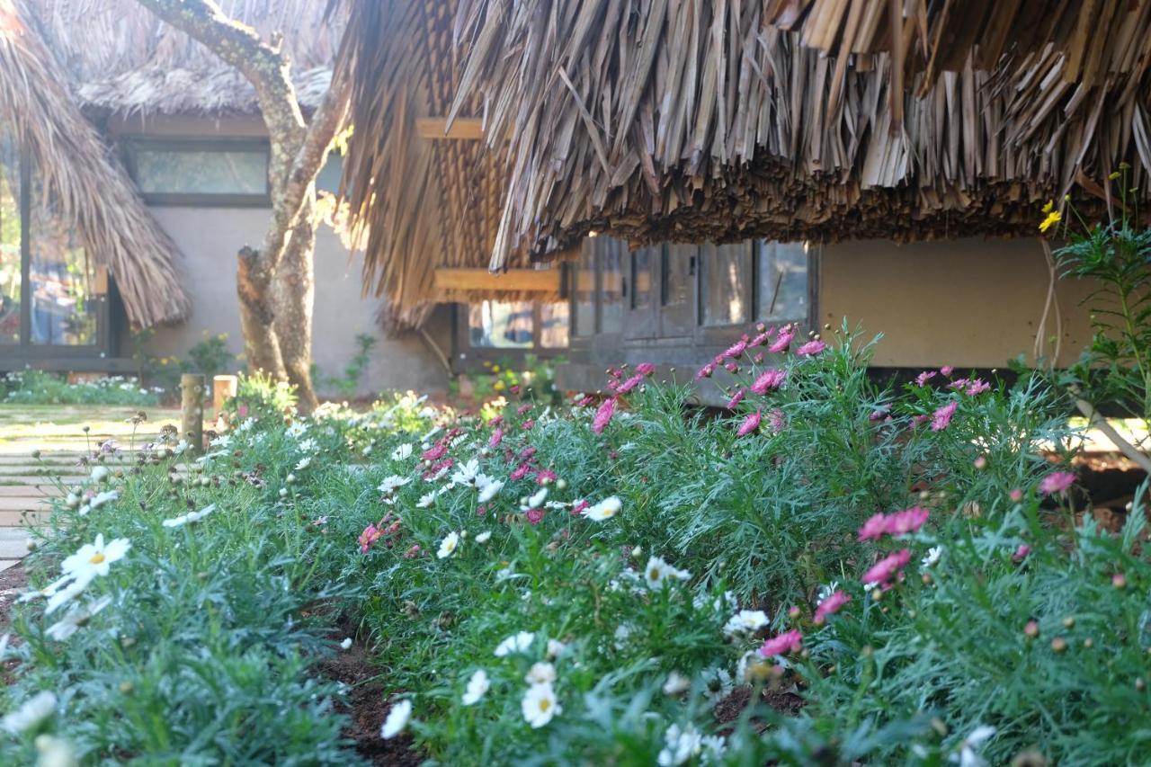 L'Amant Homestay Da Lat Đà Lạt Ngoại thất bức ảnh