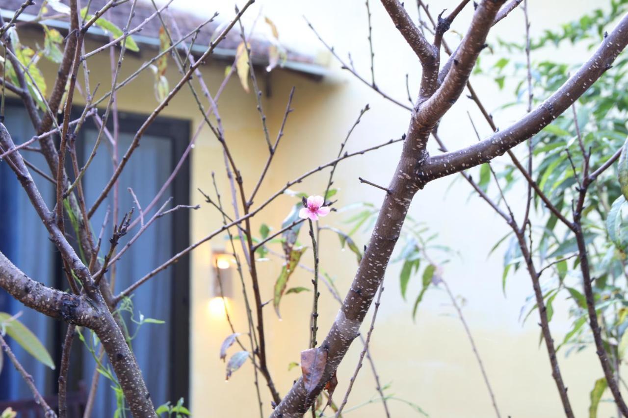 L'Amant Homestay Da Lat Đà Lạt Ngoại thất bức ảnh