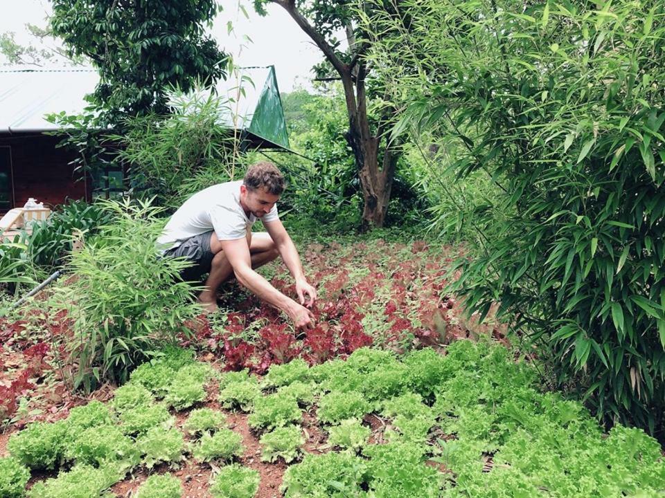 L'Amant Homestay Da Lat Đà Lạt Ngoại thất bức ảnh